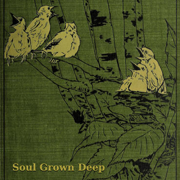Read Soul Grown Deep